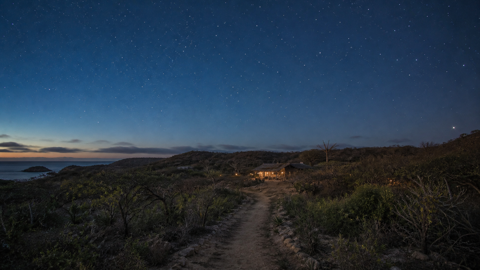 A path through coastal ranch land under a star-filled night sky
